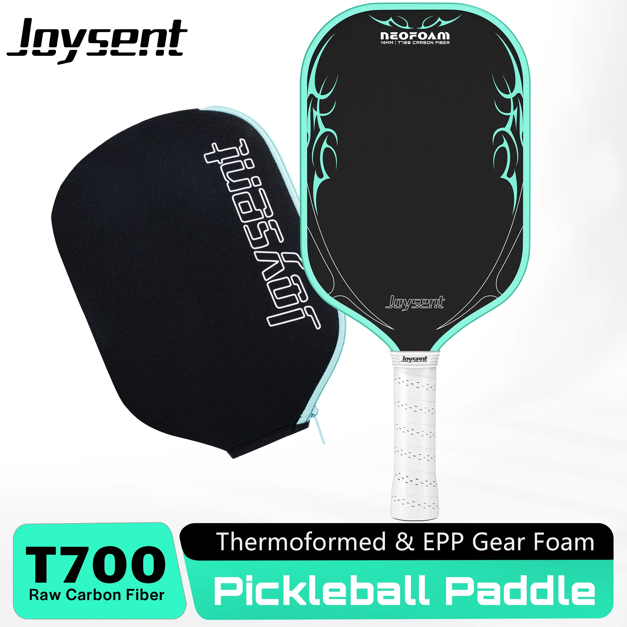 Joysent T700 Raw Ca…