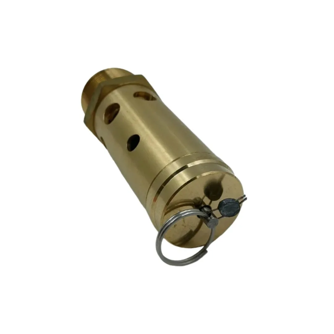 Ingersoll Rand 39588058 Safety Valve for Screw Air Compressor Spare Parts Replacement