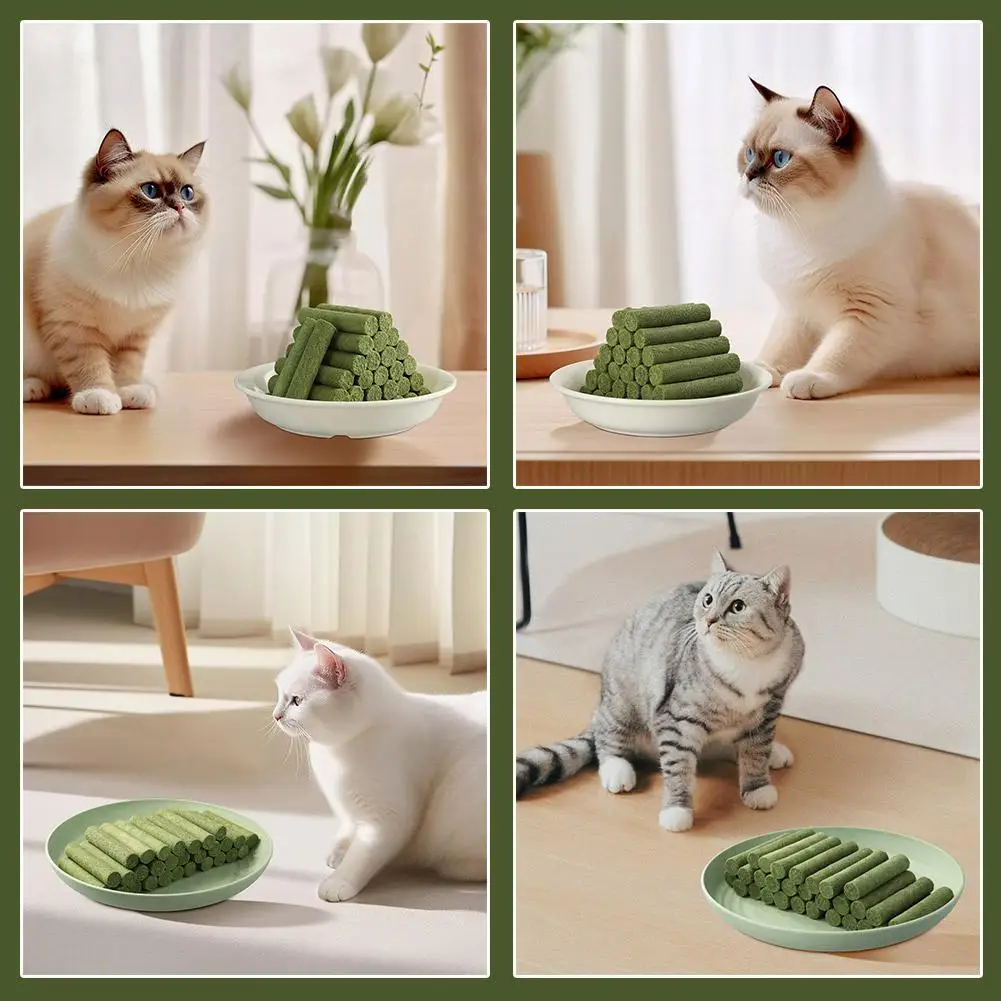 Cat Grass Teeth Grinding Stick Pet Snacks Hairball Removal Mild Hair Row Ready To Eat Baby Cat Teeth Cleaning Cat Grass Stick