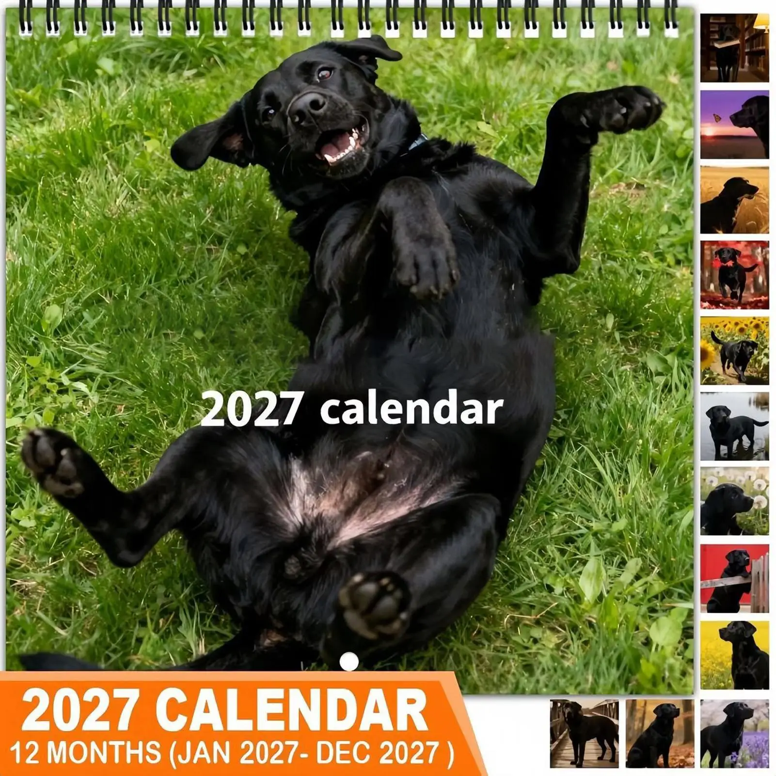 Dog Calendar Playful Dog Patterns 12-Month Hangable Planner Display 2027 Calendar for Home Office School Classroom Family Dorm