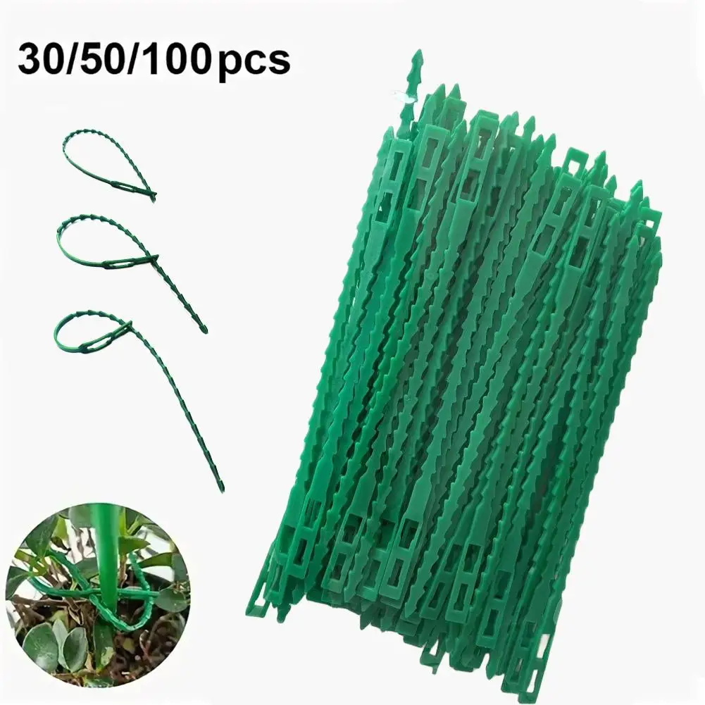 10-100pcs Adjustable Plastic Plant Cable Ties Reusable Cable Ties for Garden Tree Climbing Support Plant Vine Tomato Stem Clip