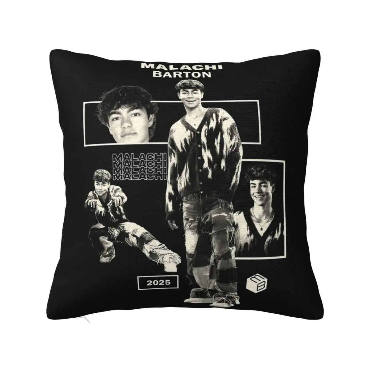 

Наволочка Малачи Бартон с принтом, тканевый чехол для подушки, декоративная наволочка, чехол для гостиной, молния 40*40 см