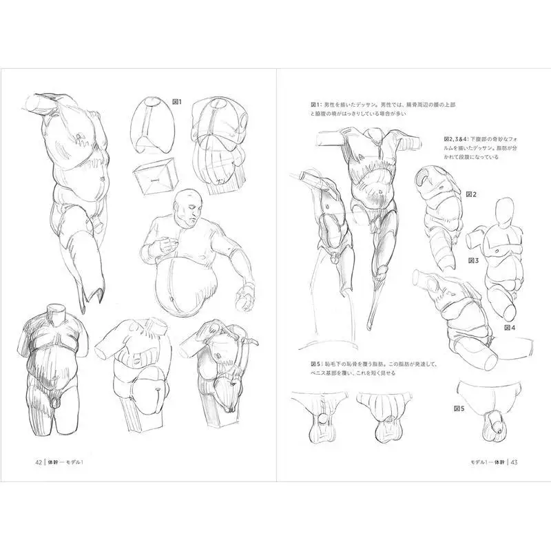 Morpho Human Body Drawing Fat And Wrinkles Michelle Graphics Company 9784766132373 Book