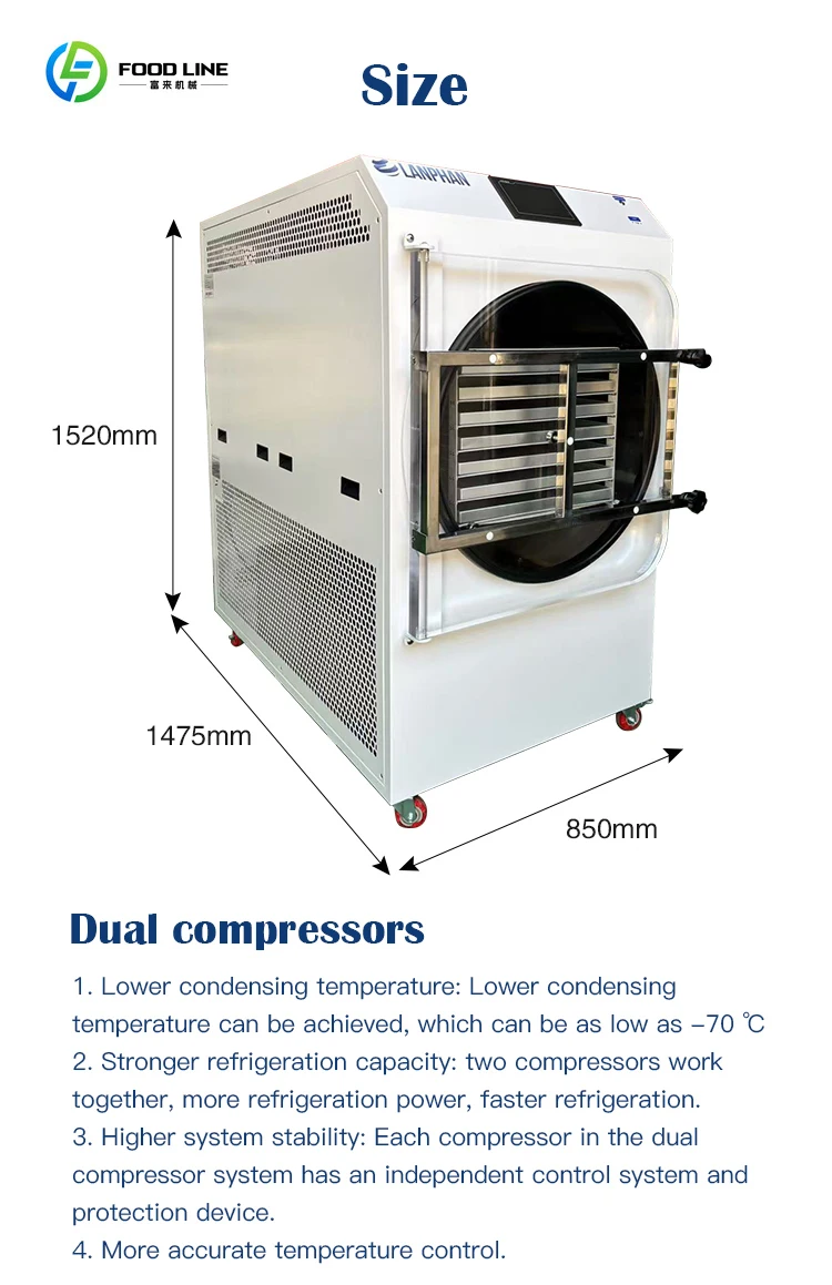 Commercial Home 55-60KG /Batch Food Fruit Freeze Dryer Vacuum Sublimation Dryer Freeze Drying Machine for Coffee Milk Powder