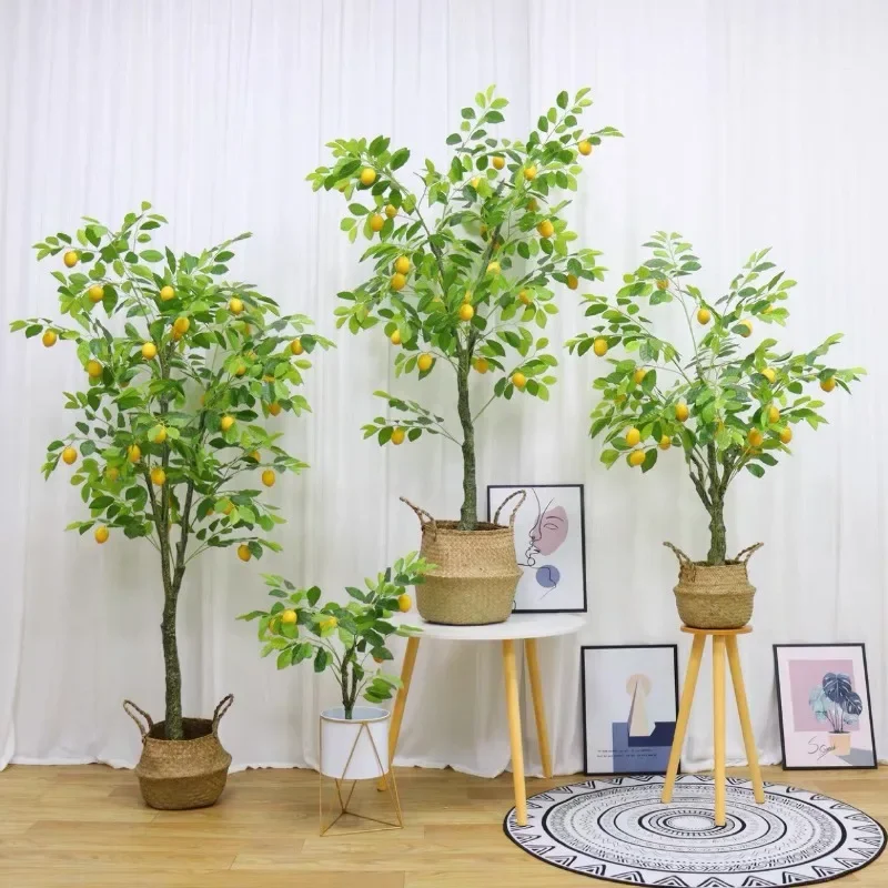 محاكاة شجرة الليمون، نباتات خضراء جديدة، نباتات شجرة الليمون الكبيرة بوعاء