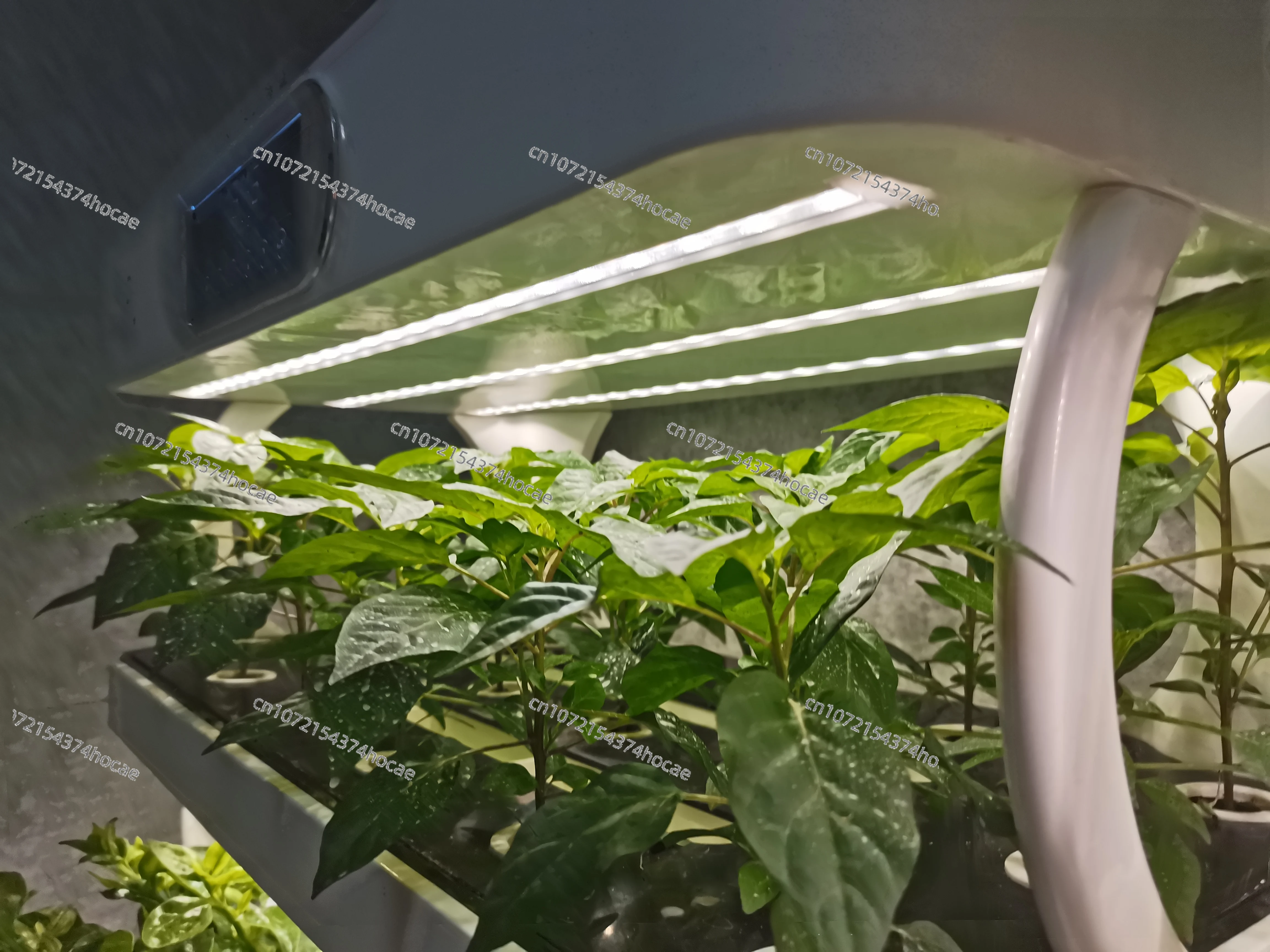 Sistema de plantio hidropônico - Smart Garden Vertical avaliação e preço