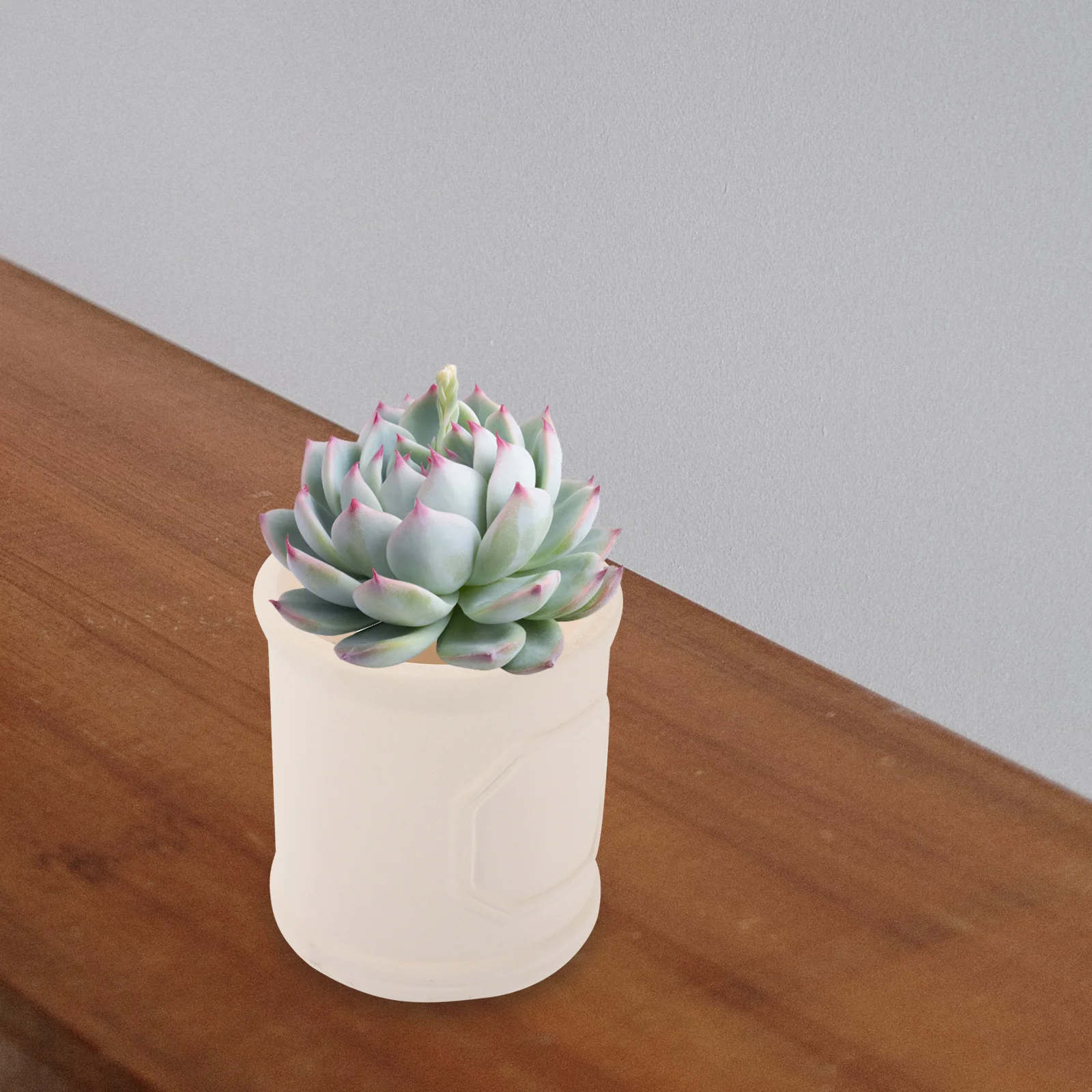 

Compact Small Ceramic Flower Pot Cylinder Vase Desktop Plant Vase for Succulent Flowers Home Garden Decoration
