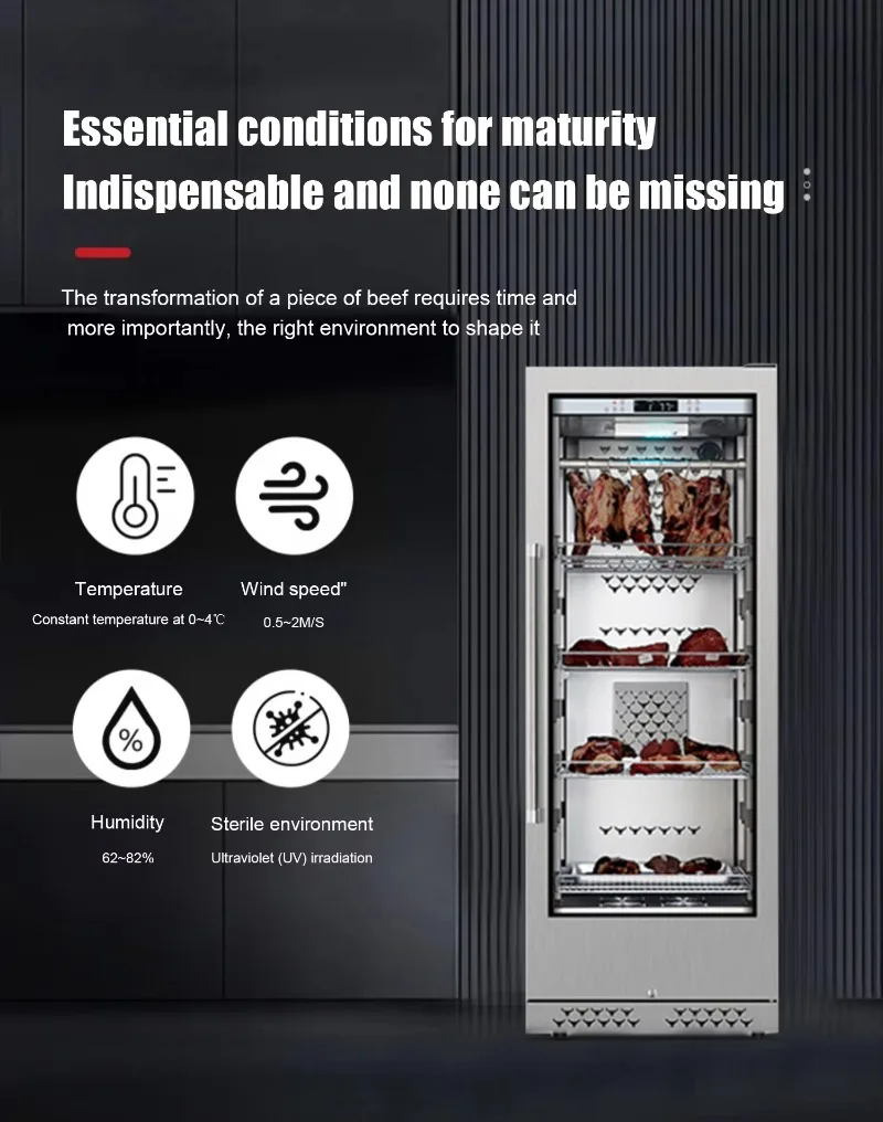 Customize Meat Dry Age Cabinet Refrigerator Strong Air Purification Commercial Beef Dry Ager Fridge
