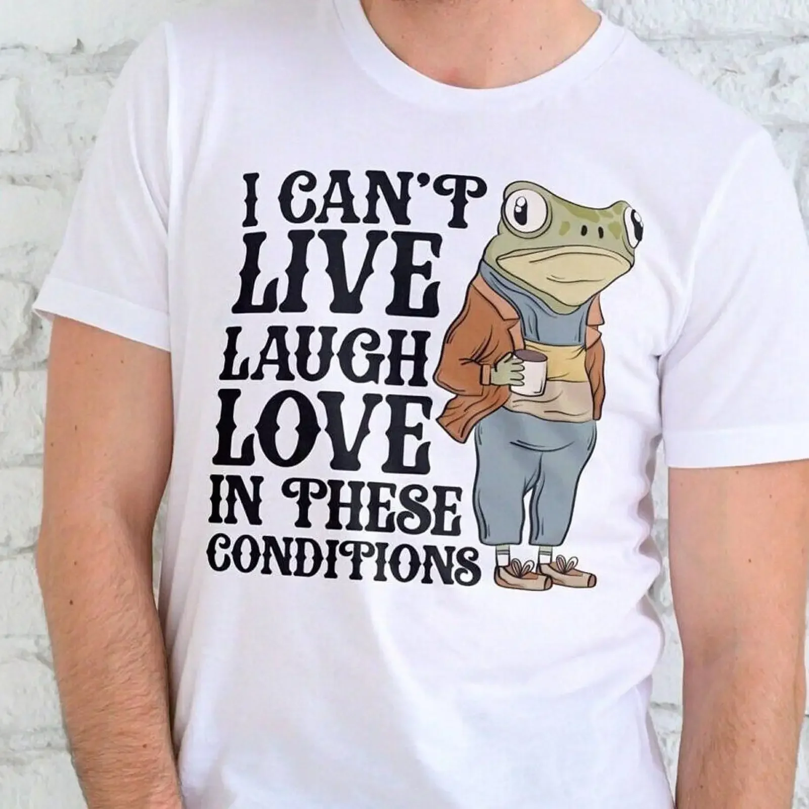 I Can't Live Laugh Love In These Conditions Frog Meme T Shirt Funny Quote vintage Washed streetwear Versatile Unisex Slightly