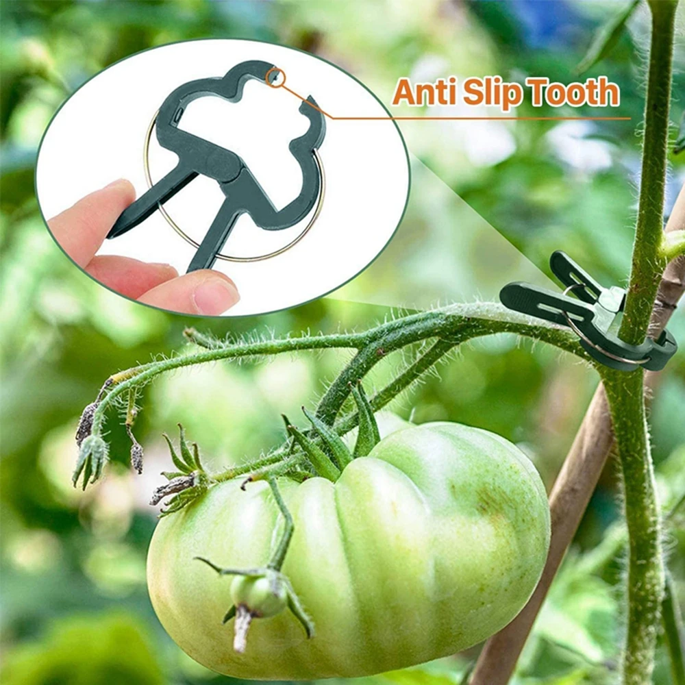 Gebunden Pfropfen Pflanzen Pfähle Stecker Zweig Spann Reben Unterstützung Anlage Feste Klemme Bauernhof Liefert Unterstützung Clips Garten Werkzeug