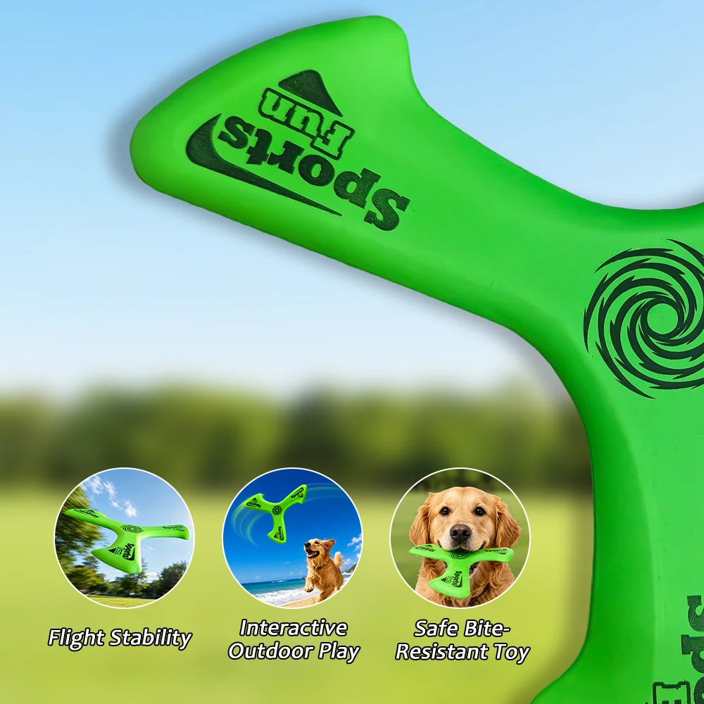Outdoor Interactive Dog Boomer - đánh giá và giá Flying Disc Dog Training Toy