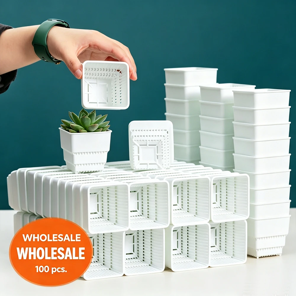 Macetas de malla para suculentas Lithop con orificios de 4cm, 5cm, 6cm, 100 unidades, para cactus, Haworthia, vivero
