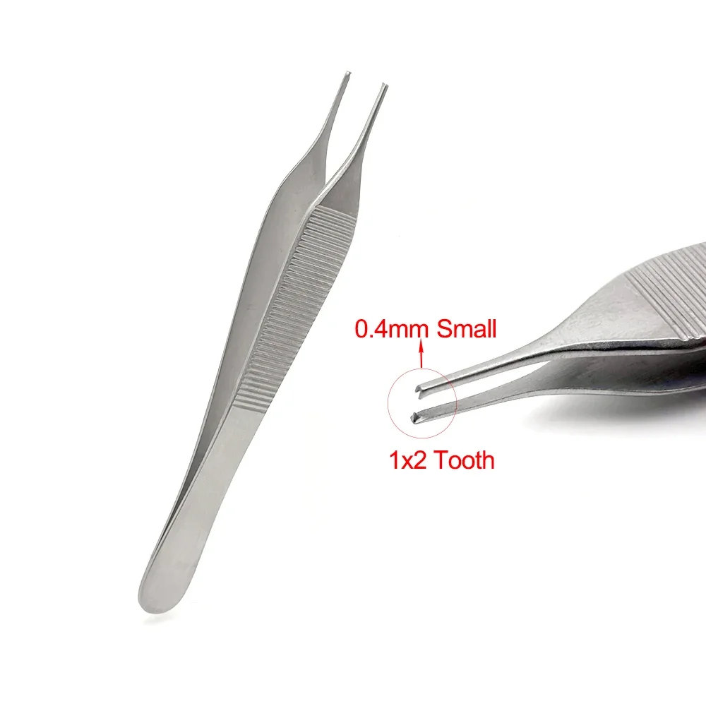 

1Pcs Dental Tissue Tweezer Extraction Forcep 1*2 Tweezer Home Organization Forceps Dressing Forceps Tools