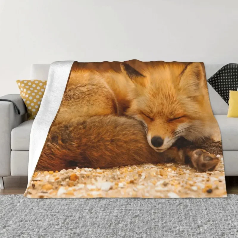 

Sleeping Fox Coral Fleece Plush All Season Cute Animal Breathable Thin Throw Blanket for Bed Couch Bedspreads