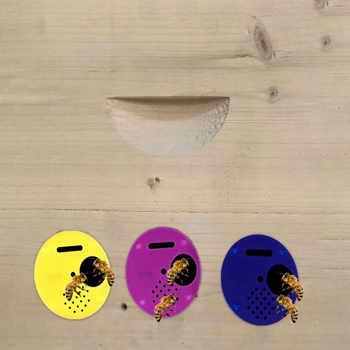 

36pcs Beehive Nest Door Tool Round Entrance Gate Plastic Honeycomb Entrance Vents Adjustable Beekeeping Tools For Hive Random