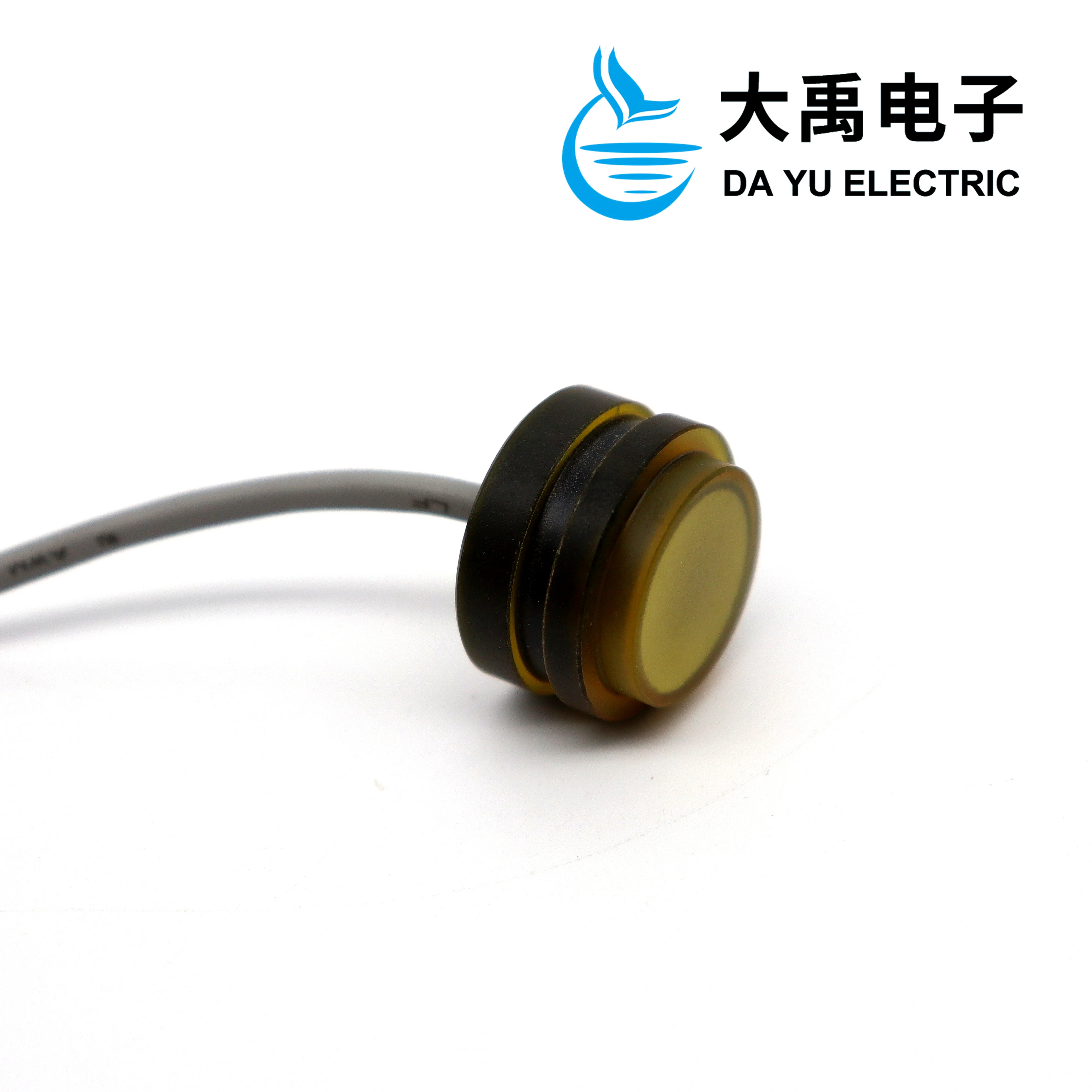 Ultrasonic Flow Meter Transducer Underwater Distance Meter Plug-in Underwater Acoustic Transducer DYW-1M-01F
