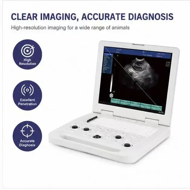 Portable all-digital ultrasonic diagnostic instrument Black and white human ultrasonic machine Veterinary instrument