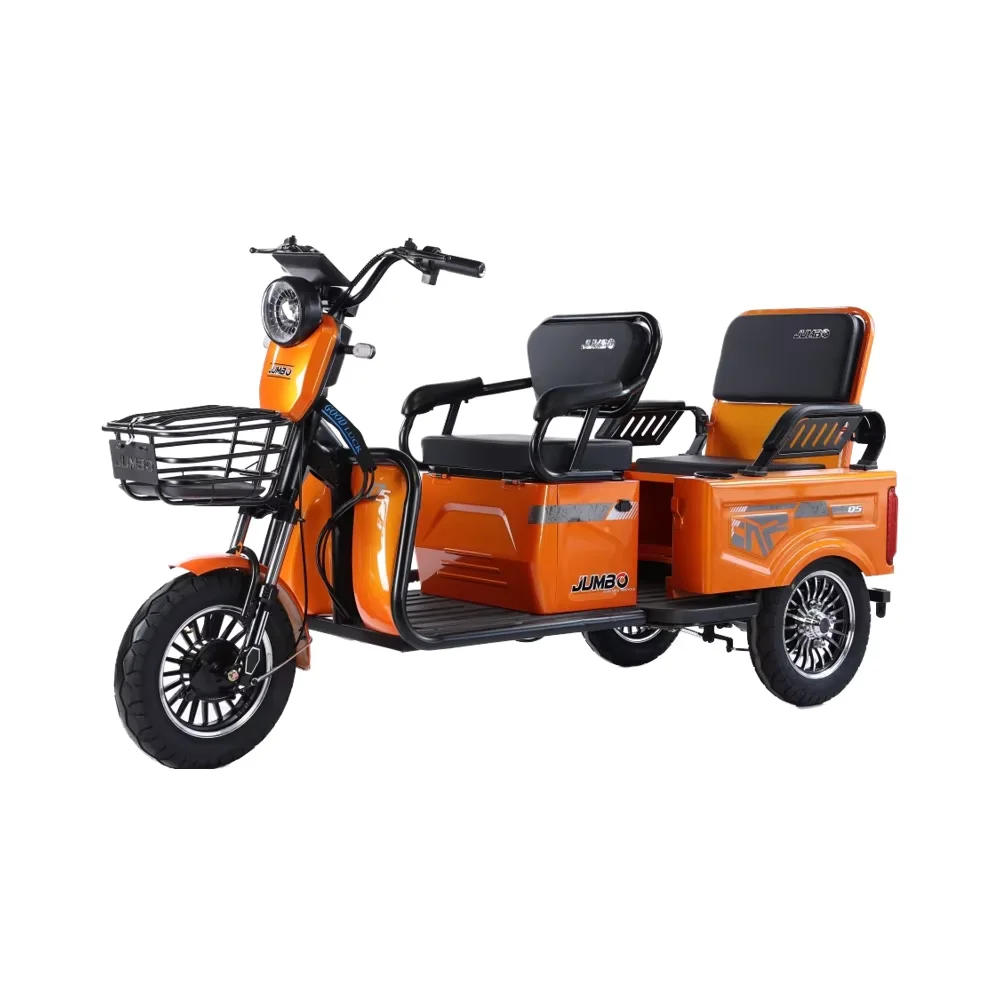 2025 CE Good Quality 800W 12 Tube Controller Electric Tricycle Electric Cargo Bike Family Electric Bike
