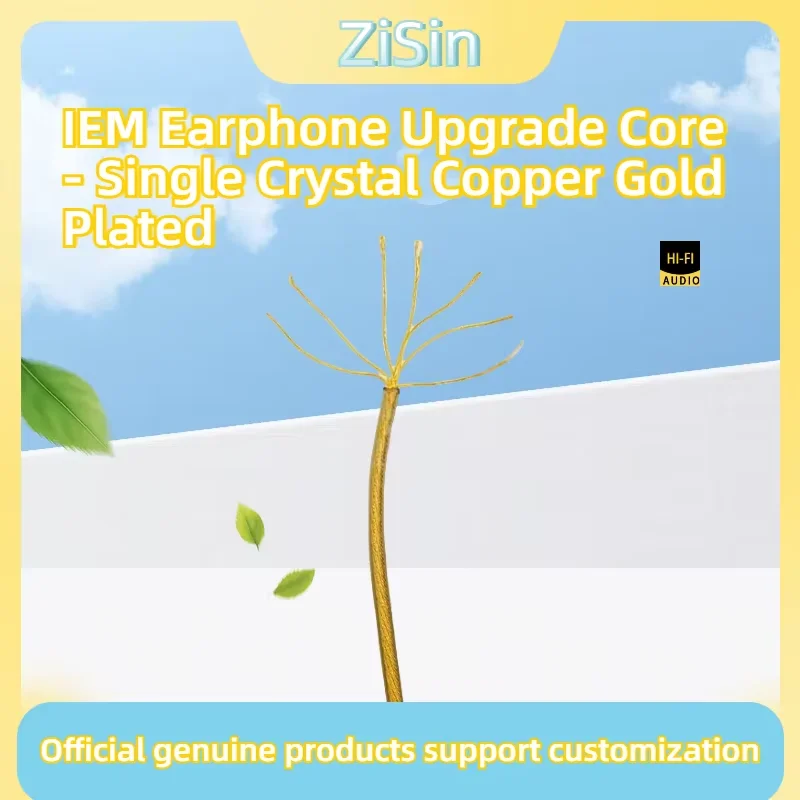 Zisin Hifi In Ear E…