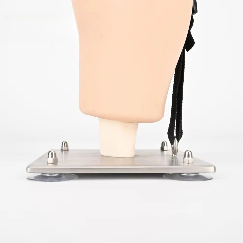 Arthroscopy Simulator Knee Model Surgery Simulation Trainer for Medical Students And Professionals