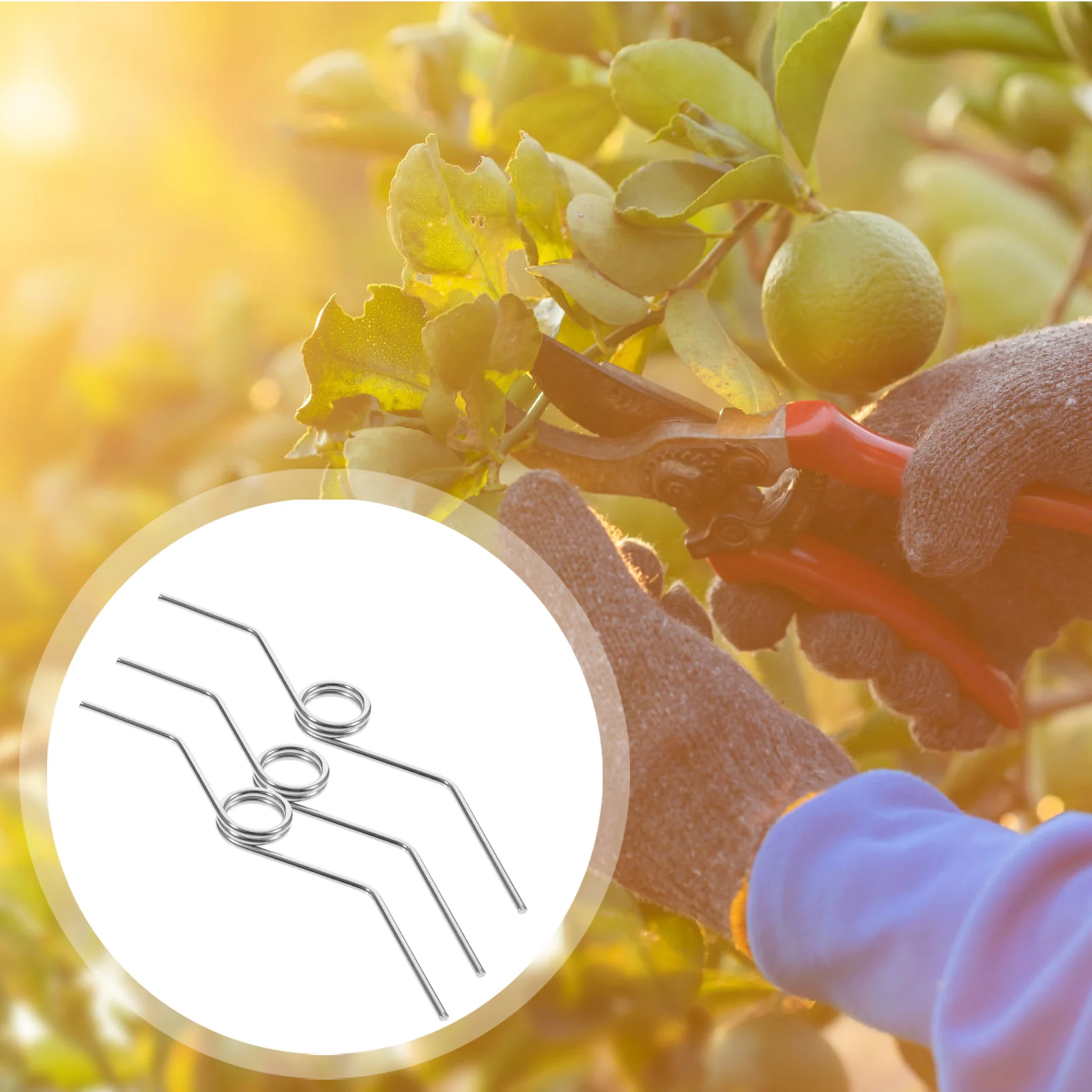 8pcs High Branch Scissors Handle Spring Pruners Stainless Steel V Spring Small Springs Pruning Shear Replacement Springs Garden