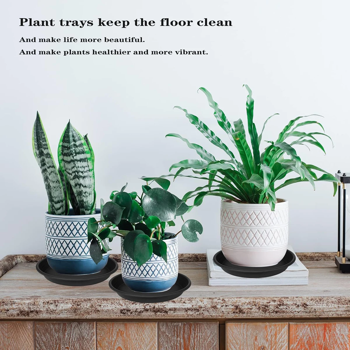 Thumbnail 4 - #1 Best Garden Pot Saucers & Trays to Buy In 2026