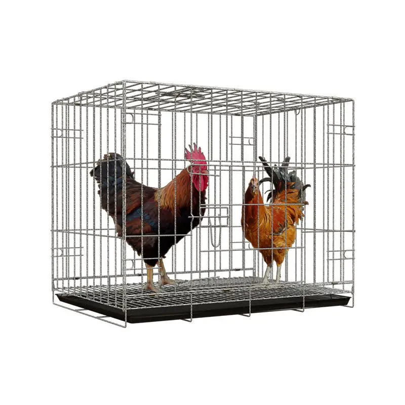 

Collapsible Foldable Chicken Cage Gamefowl Rooster Show Cage
