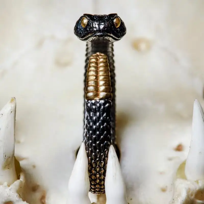 Buyee 925 Sterling Silver Unique Ring Finger for Woman Men Personality Black Snake Animal Rock Punk Fine Jewelry Circle