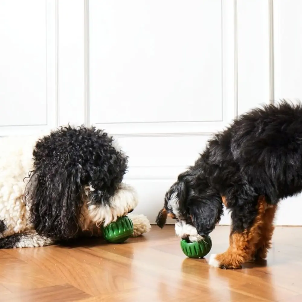 Puppy Treat Dispensing Ball Interactive Silicone Puzzle Toy Dog Chewing Teeth Cleaning Gear Boredom Relief Feeders