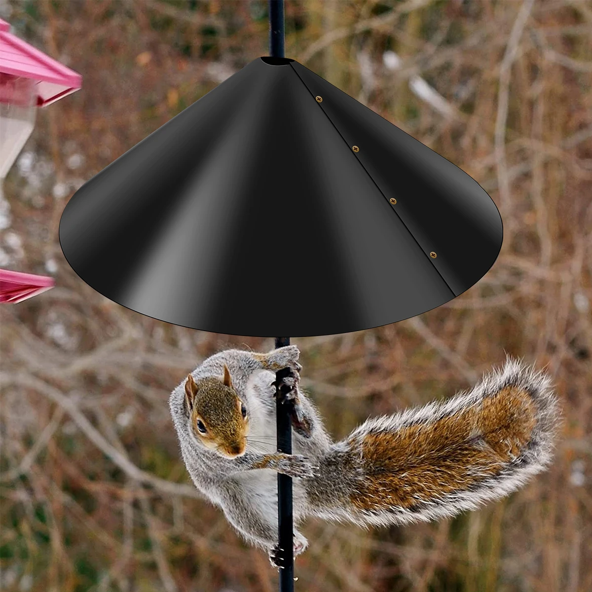 Thumbnail 2 - #4 Trending Squirrel Feeders Right Now