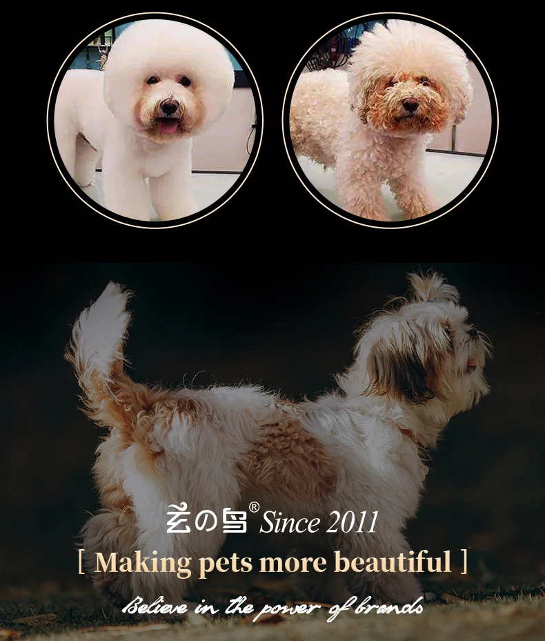 Fenice 7,0 Zoll Doppelzähne Haustier Effilierschere Professionelle Hund Haustier Pflegeschere Tiere Haarschnitt Effilierschere 20-30% – Detail 5