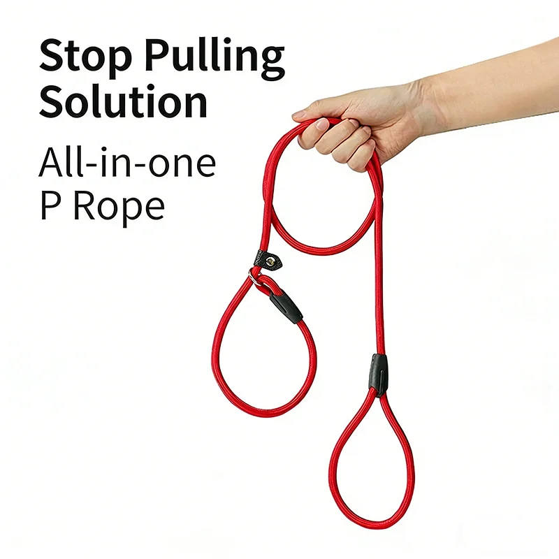 Dog Leash Slip Chains Collar Leads Strong Heavy Duty Nylon Rope No Pull Pet Training Leash for Small Dogs Puppy Traction Rope