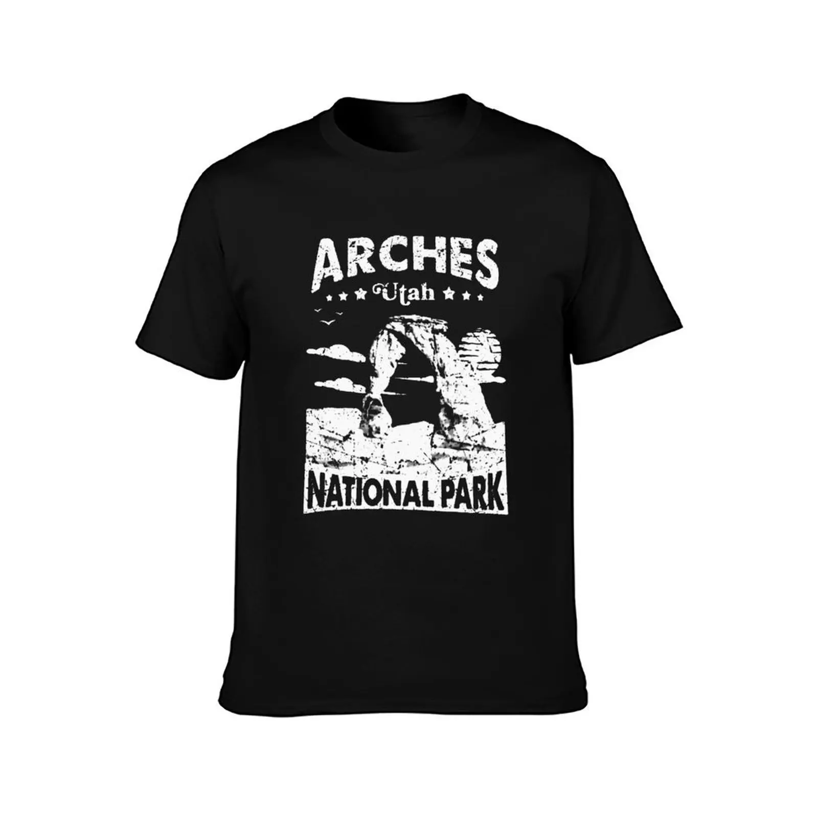 Arches National Park , Delicate Arch Vintage Utah Gift T-Shirt Basic Regular Fit Casual T-Shirt