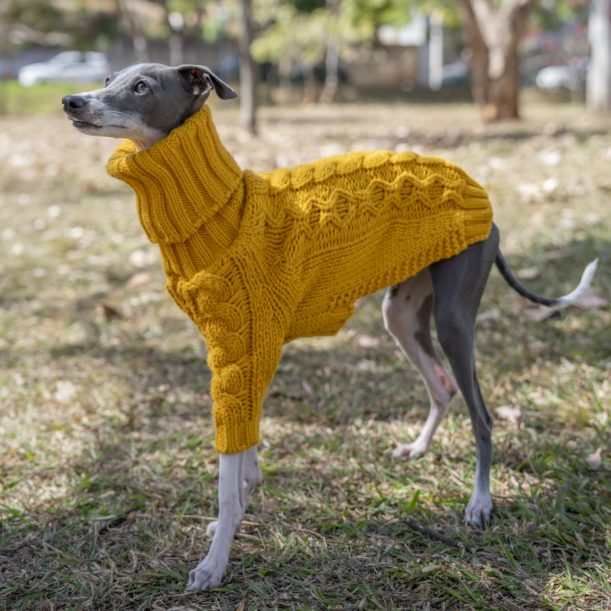 Warm Autumn Pet Sweater Stylish Turtleneck Italian Greyhound Clothes Whippet Clothing