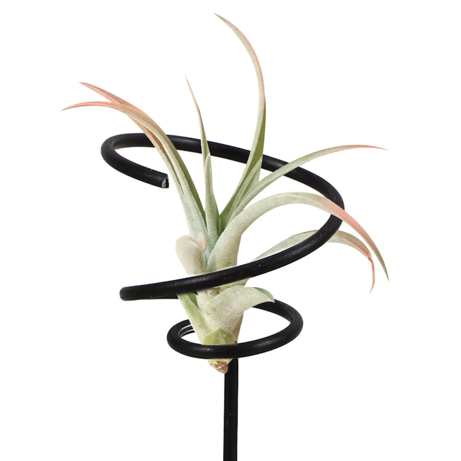 Waterproof Cement Air Plant Stand Decorative Tabletop Plant Holder Creative Air Plants Racks Display for Home Office