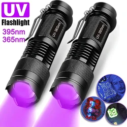 Mini lampe de poche UV LED, torche ultraviolette zoomable, lumières ultra en verre, lampe d'inspection, outils de détection des taches d'urine animale, 395 nm, 365nm