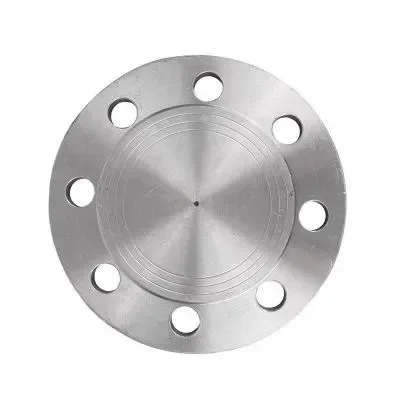 Bestselling High-quality Products 304/316L Stainless Steel Flange Plug  Blind Plate Flat Welding  Cover 10 of Them