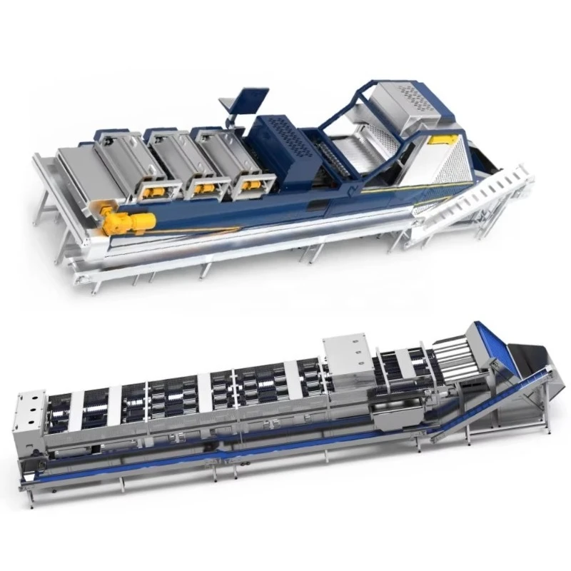Brand New Multifunctional Optical Sorting Machine Jujube Date Sorting Machine with Low Price