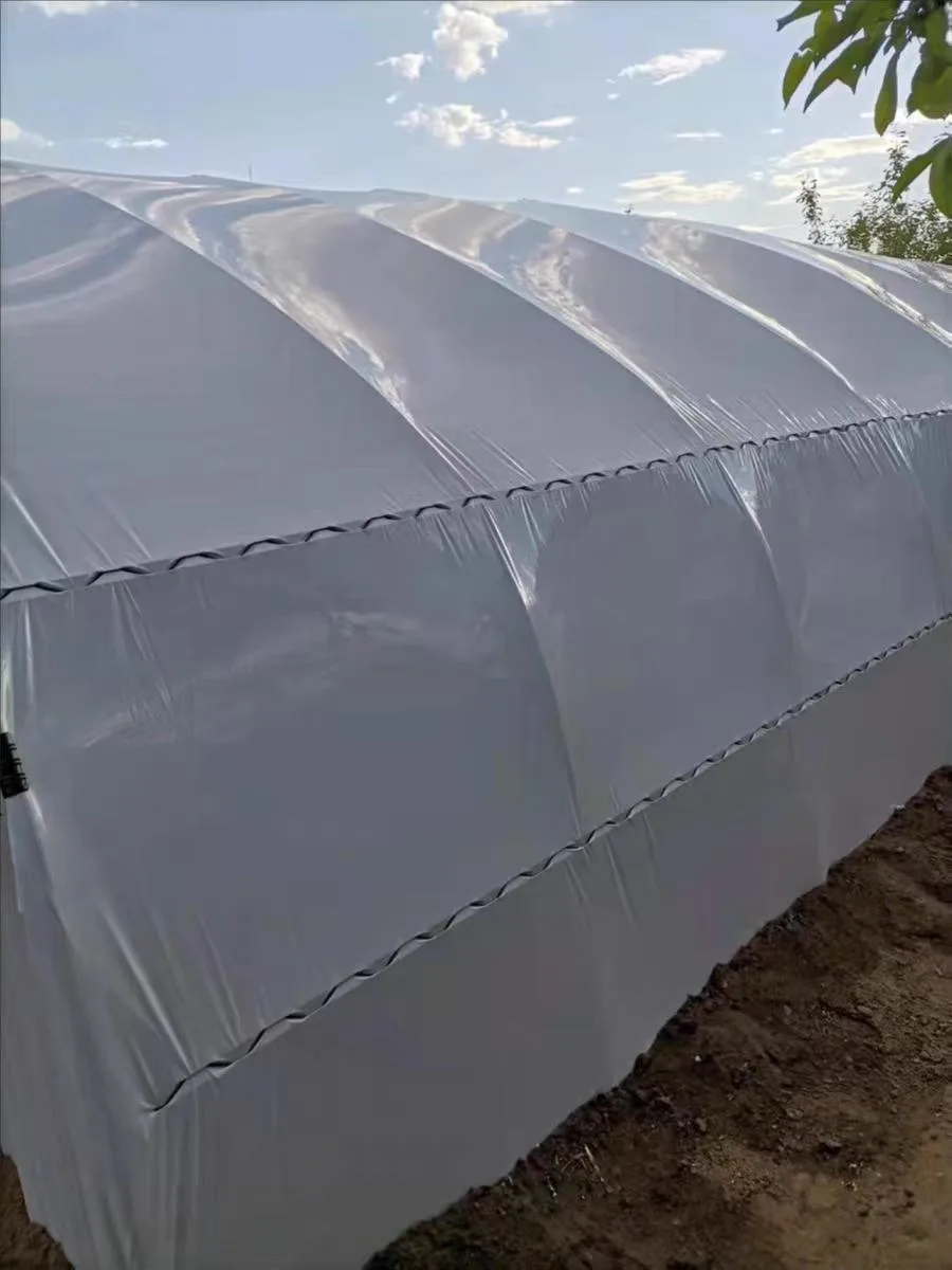 2025 Pellicola per serra in bianco e nero per acquacoltura, pellicola per isolamento termico, raffreddamento e protezione solare