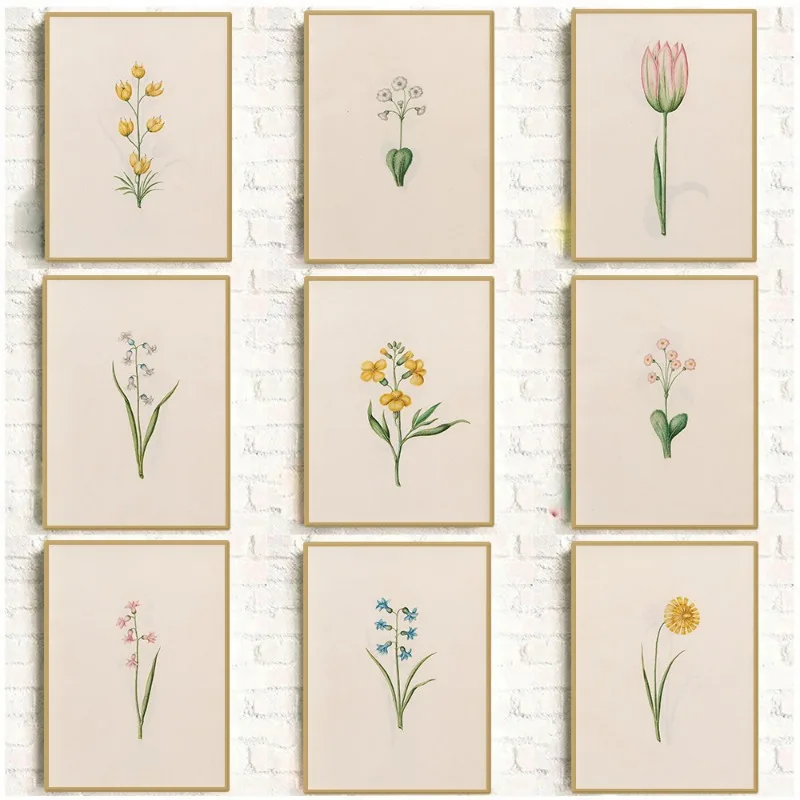 Vintage Spring Floral Plant Illustration Poster Colourful Wildflower Botanical Canvas Painting Wall Art Nursery Room Home Dec