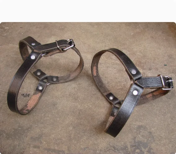 الأحذية الألمانية مع الأشرطة جلد البقر