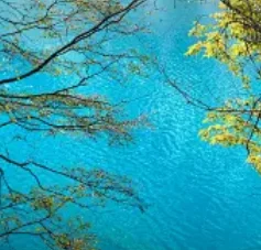 Android Multimedia … - image