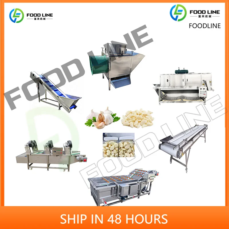 FL Garlic Bulb Breaking Machine Garlic Clove Breaking Separator Machine Customized