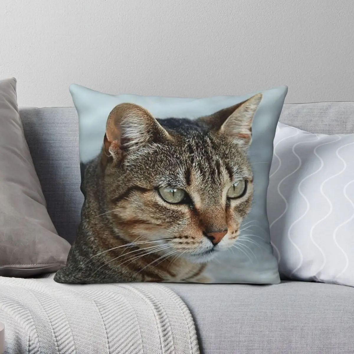 

Stunning Tabby Cat Closeup Square Pillowcase Polyester Linen Velvet Creative Decorative Throw Pillow Case Home Cushion Cover 18"