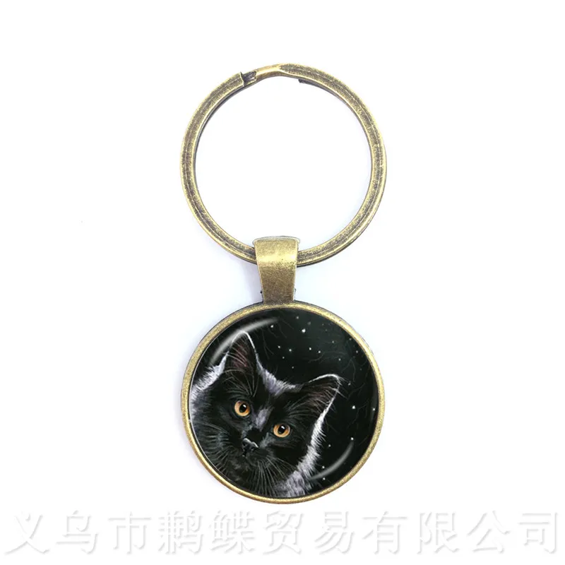 Cat And Moon Pattern Keychains 25mm Round Glass Dome Animal Picture Series Keyring Cat Lover Creative Gift Handmade Pendant