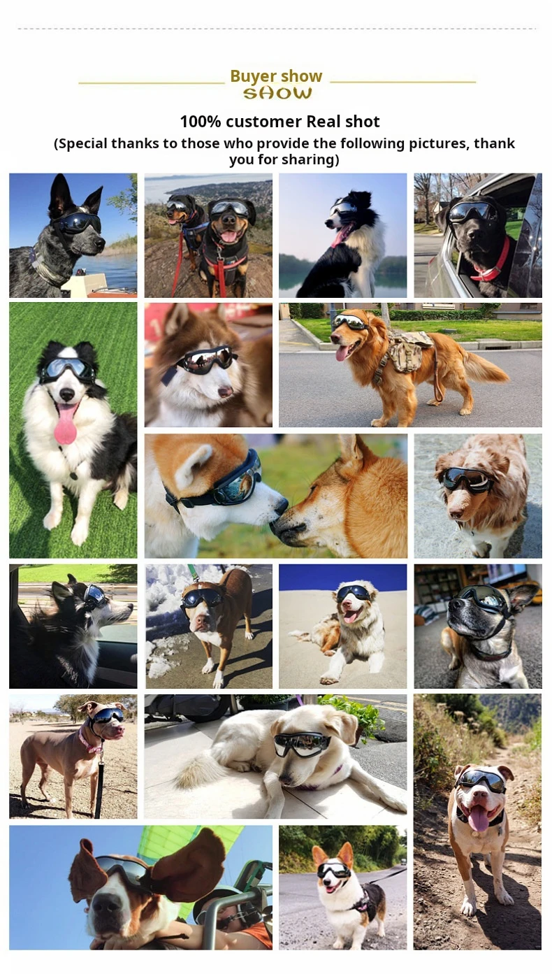 Transparente Farbige Hunde-Schutzbrille Wasserdicht Winddicht Sonnenschutz UV-Beständig Große Hundebrille – Detail 3