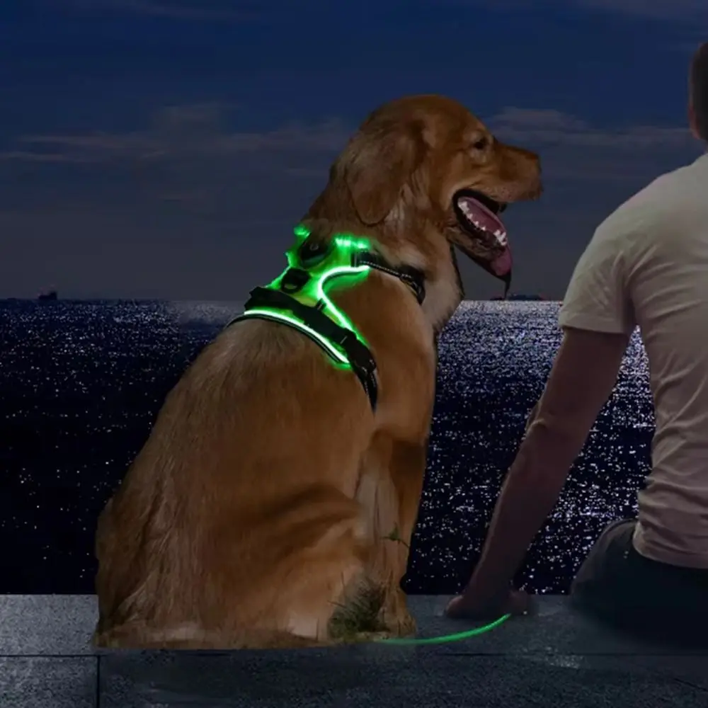 Thumbnail 2 - #26 Best Adjustable Pet Collars to Buy In 2026
