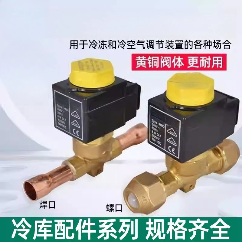 Électrovanne Solenoid Valve Normally Closed 220/380V Coil Air Conditioner Cold Storage Heat Pump Refrigerant Electric Control Valve Pneumatique — détail 1