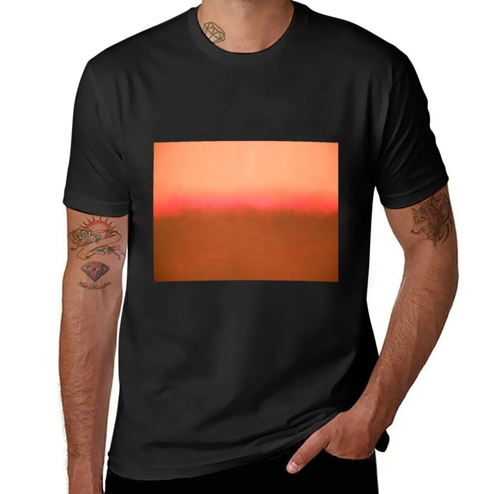 Mark Rothko T-Shirt man clothes summer tops t shirt men 100℅ cotton