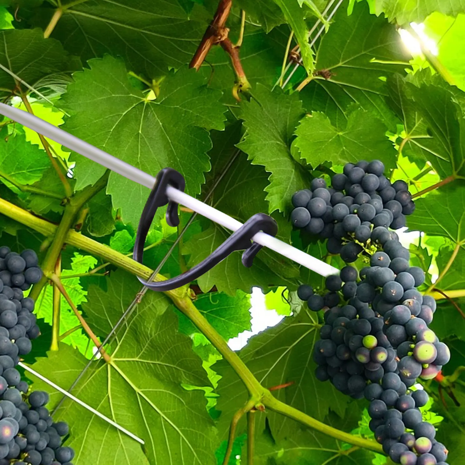 100Pcs Plant Fixing Clip Heavy Duty Plastic Garden Plant Clip for Grape Vine Support Melon Stem Training Climbing Plants